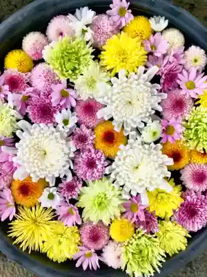 鹿島台神社の手水舎