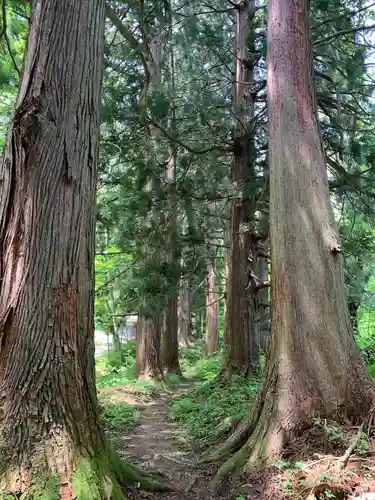 大山祇神社の自然