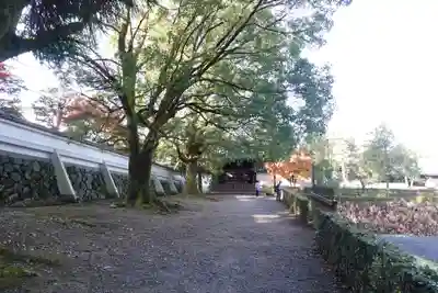 東福禅寺(東福寺)(京都府)