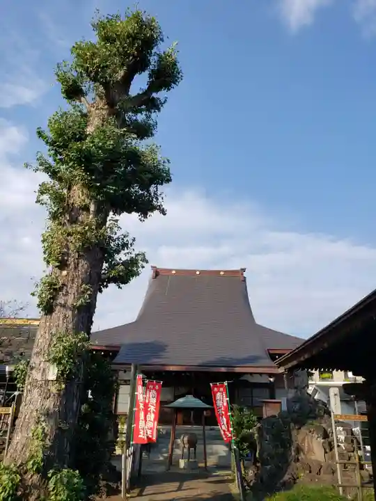 吉祥院の本殿・本堂