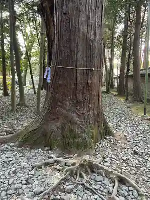 多田神社(兵庫県)