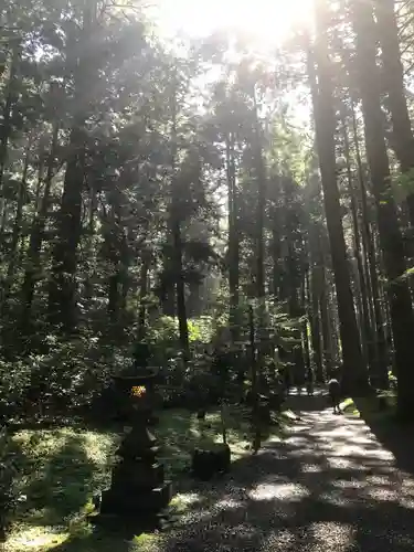 御岩神社の自然