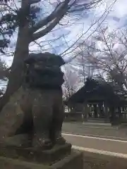 江南神社の狛犬