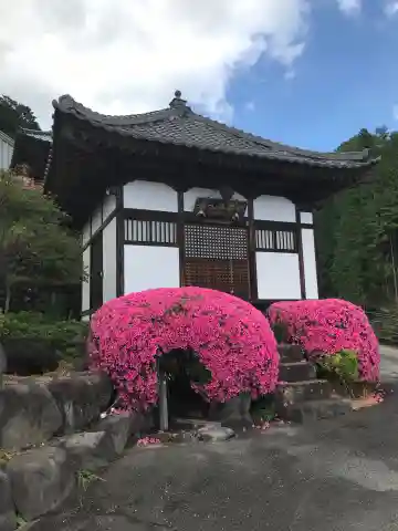 金剛寺の本殿・本堂