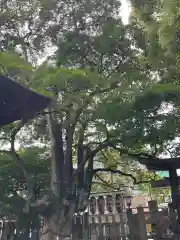 満足稲荷神社(京都府)