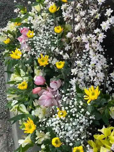 上尾御嶽神社の自然