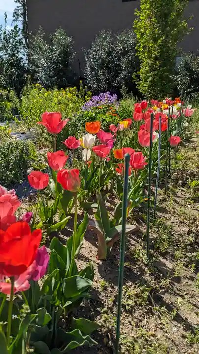 玉田神社(京都府)