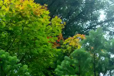 諏訪大社(長野県)