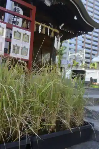 磐井神社の本殿・本堂