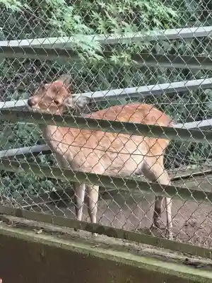 鹿島神宮(茨城県)