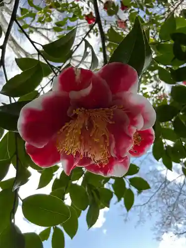 霊鑑寺門跡(京都府)