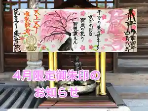 法岩院(千葉県) 2022年04月01日(金)〜(2022年03月25日(金) 15時00分08秒投稿)