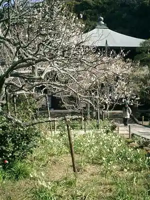 瑞泉寺のその他建物