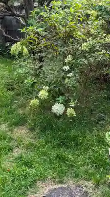 満願寺(京都府)