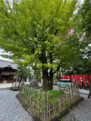 大垣八幡神社(岐阜県)