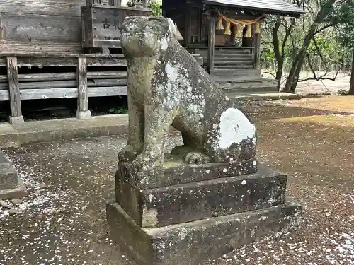 於呂閇志胆澤川神社の狛犬