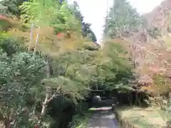 秩父御嶽神社(埼玉県)