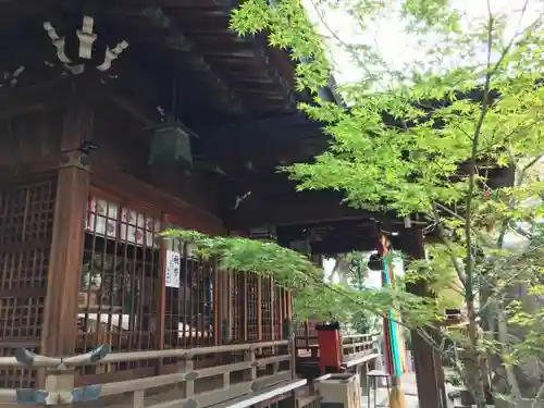 白山神社の本殿