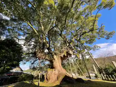 大楠神社(福岡県)