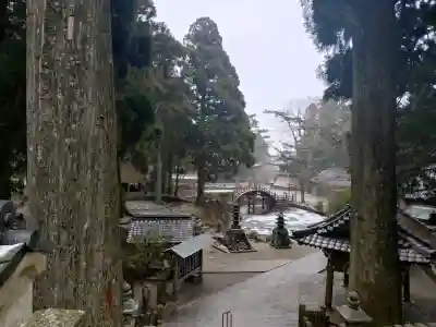 金剛證寺の{uncategorized: "未分類", other: "その他", undefined: "問題あり", building: "その他建物", grave: "お墓", sacred_gate: "鳥居", guardian: "狛犬", statue: "像", buddha: "仏像", history: "歴史", nature: "自然", garden: "庭園", animal: "動物", pagoda: "塔", temizu: "手水舎", mountain_gate: "山門・神門", sanctuary: "本殿・本堂", subordinate: "末社・摂社", art: "芸術", scenery: "景色", jizo: "地蔵", ema: "絵馬", goshuin: "御朱印", omikuji: "おみくじ", items: "授与品その他", amulet: "お守り", goshuincho: "御朱印帳", eats: "食事", festival: "お祭り", votive_dance: "神楽", shichigosan: "七五三参", wedding: "結婚式", experience: "体験その他", initially: "初詣", around: "周辺", anti_infection: "感染症対策"}