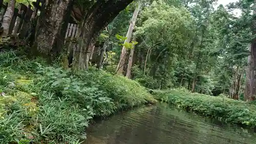 丹生大師 神宮寺の庭園