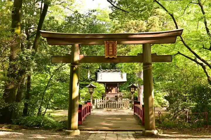 武蔵一宮氷川神社(埼玉県)
