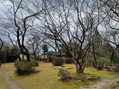 勝持寺（花の寺）(京都府)