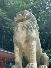 大山祇神社の狛犬