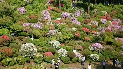 塩船観音寺の庭園