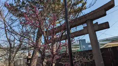 港住吉神社の鳥居