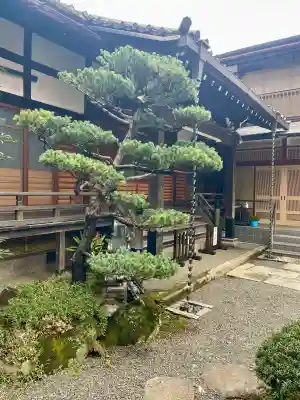積徳寺の{uncategorized: "未分類", other: "その他", undefined: "問題あり", building: "その他建物", grave: "お墓", sacred_gate: "鳥居", guardian: "狛犬", statue: "像", buddha: "仏像", history: "歴史", nature: "自然", garden: "庭園", animal: "動物", pagoda: "塔", temizu: "手水舎", mountain_gate: "山門・神門", sanctuary: "本殿・本堂", subordinate: "末社・摂社", art: "芸術", scenery: "景色", jizo: "地蔵", ema: "絵馬", goshuin: "御朱印", omikuji: "おみくじ", items: "授与品その他", amulet: "お守り", goshuincho: "御朱印帳", eats: "食事", festival: "お祭り", votive_dance: "神楽", shichigosan: "七五三参", wedding: "結婚式", experience: "体験その他", initially: "初詣", around: "周辺", anti_infection: "感染症対策"}