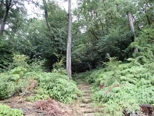 胡宮神社（敏満寺史跡）の自然