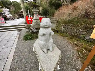 出雲大神宮の狛犬