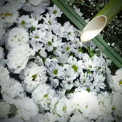 東京羽田 穴守稲荷神社の手水舎