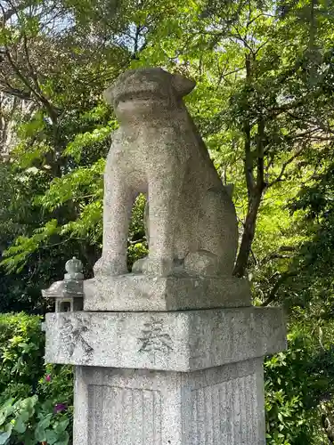 遠石八幡宮の狛犬