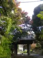 瑞泉寺の山門・神門