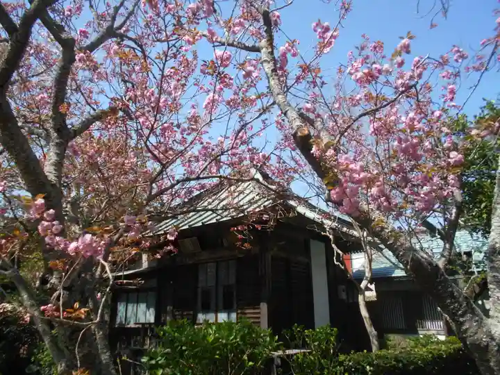 極楽寺(霊鷲山感應院極楽律寺)の自然