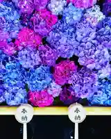 土津神社|こどもと出世の神さま(福島県)