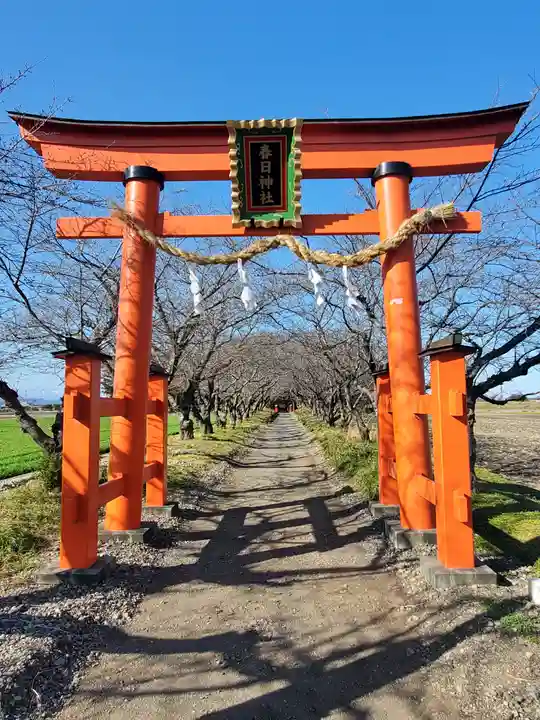 春日神社の鳥居