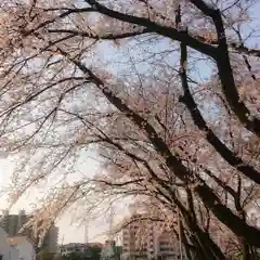 神明社（国府宮神明社）の自然