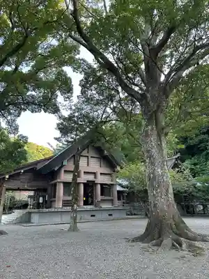 安房神社(千葉県)