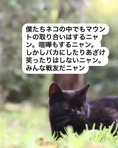 専念寺(大阪府)