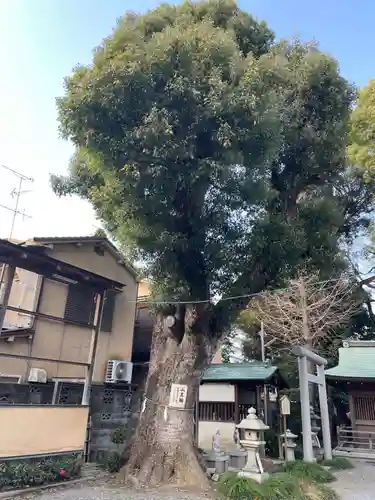 山王神社(京都府)