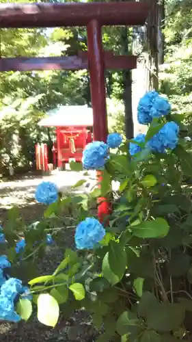 貞任宗任神社の自然