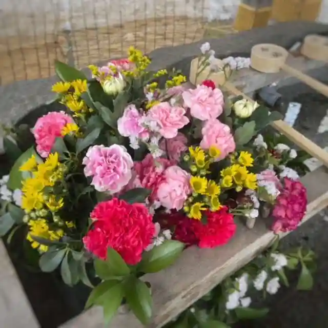 彌彦神社 (伊夜日子神社)の手水舎