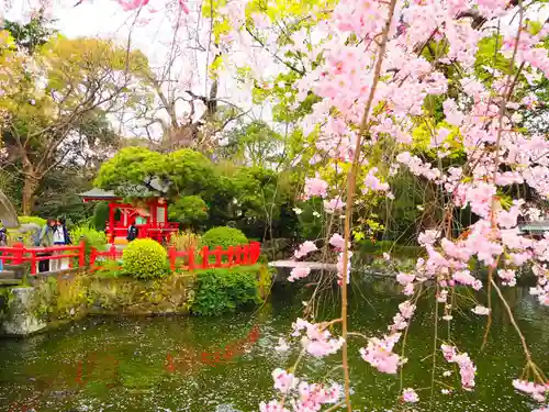 三嶋大社の庭園