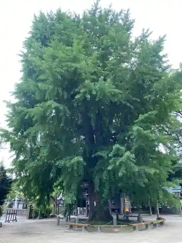 今宮神社(栃木県)