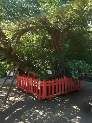 水戸八幡宮(茨城県)