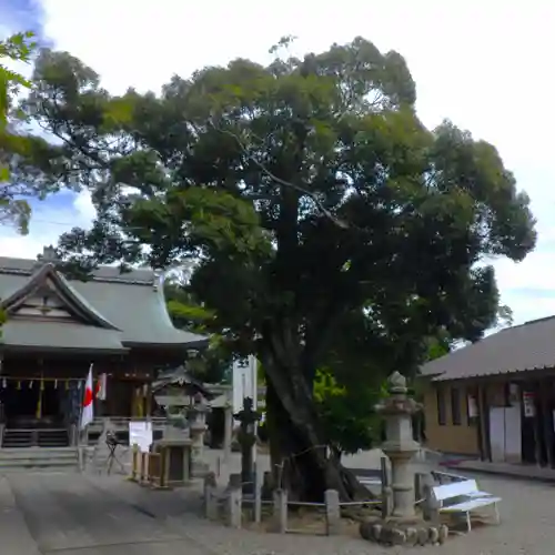 春日神社の自然