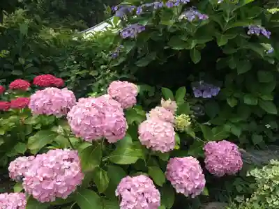 千光寺(福岡県)